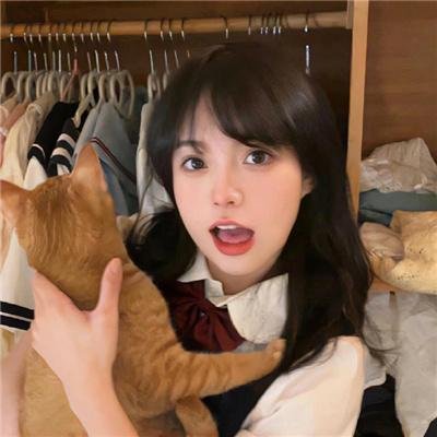 史前狂鲨